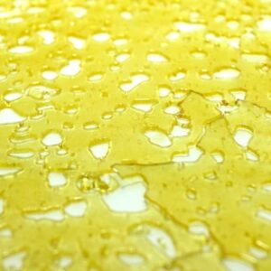 Buy Black Tuna Shatter UK online. BC-bred Herijuana x Lamb's Bread shatter delivering narcotic-level THC potency for serious chronic pain relief. Advanced users only. Discreet UK delivery
