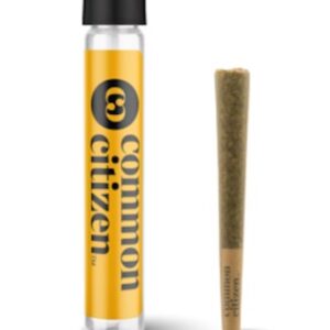 Buy Common Citizen Glucchee Pre-Roll UK online. 1g balanced hybrid at 25.03% THC with cheese and earthy notes delivering creativity, relaxation and sociability. Discreet UK delivery.