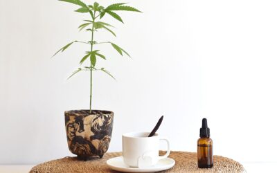Morning or Evening: When Is the Best Time to Take CBD Oil?